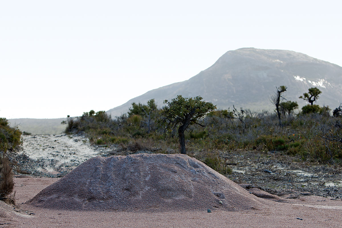 Cape Le Grande