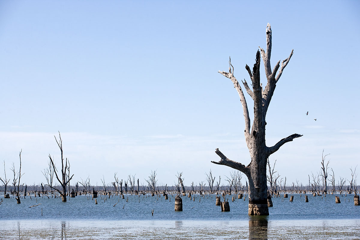 Lake Mulwala