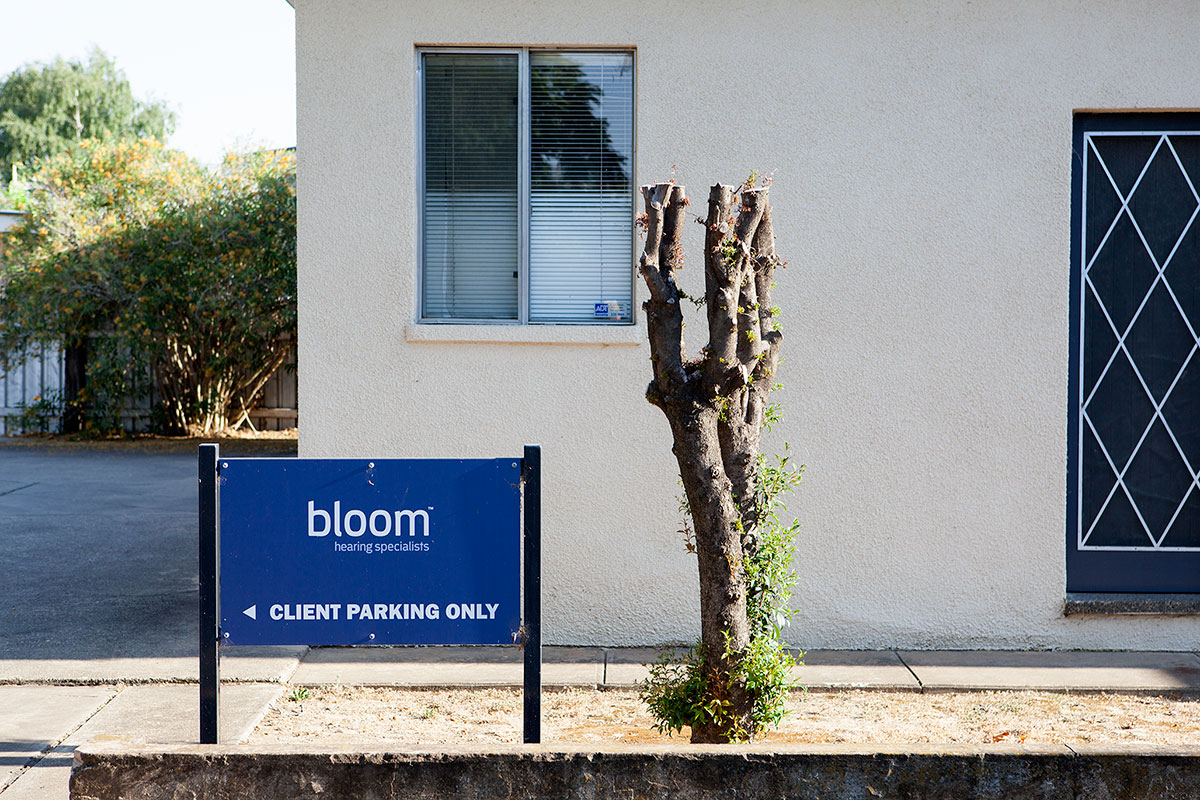 Pruned Blooms