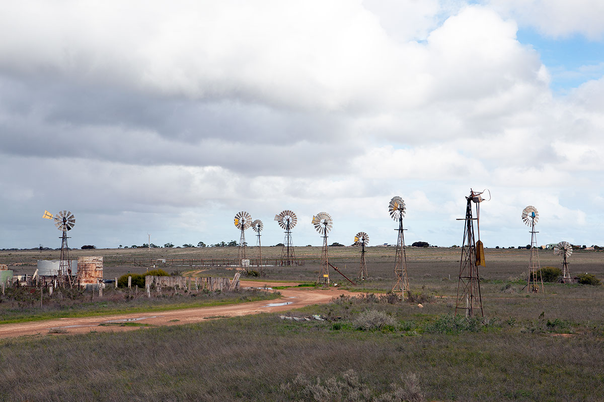 Penong Windmills
